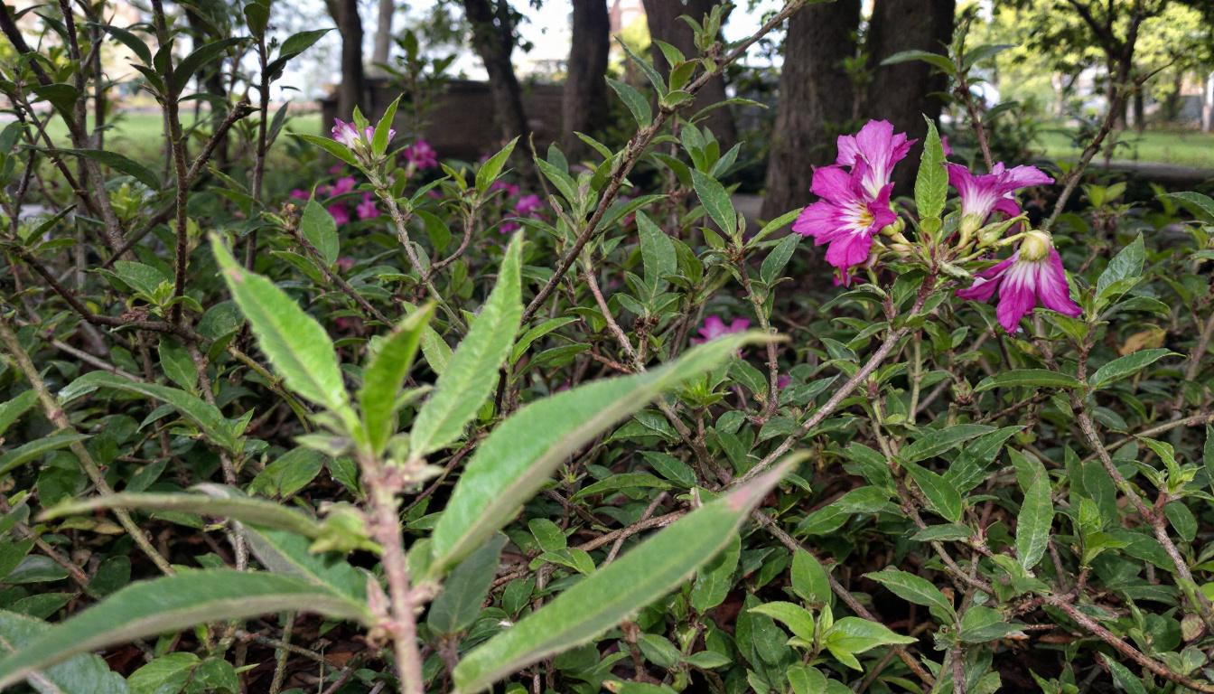 プロが教える！より自然な仕上がりにするコツ